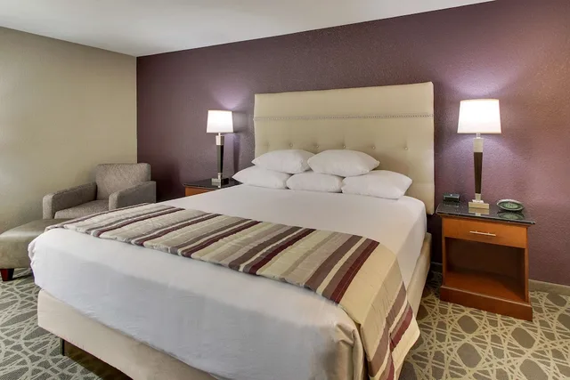 غرفة بسرير كينج لذوي الإعاقة، Drury Inn and Suites Poplar Bluff 4/5