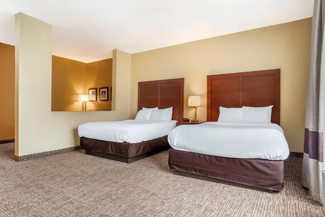 جناح ديلوكس بسريرين كوين مع أريكة، Comfort Suites Montgomery East Monticello Dr 8/10