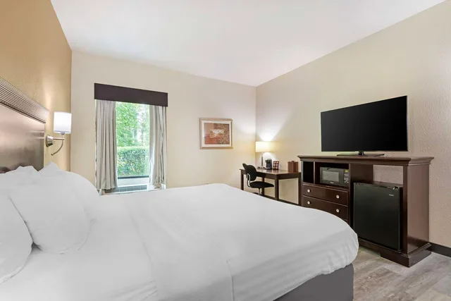 جناح بسرير كينج مع أريكة بحوض استحمام لذوي الإعاقة، Best Western Plus Greenville South 2/4