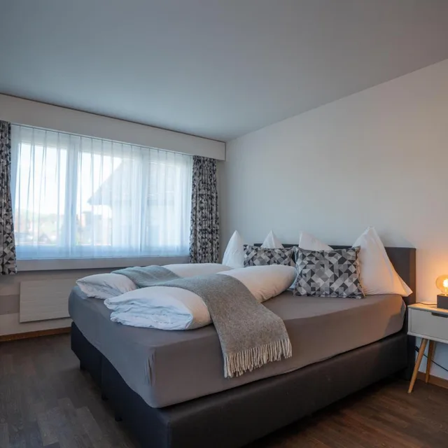 غرفة كبيرة بسرير مزدوج، Hotel B&B Stossplatz 2/3