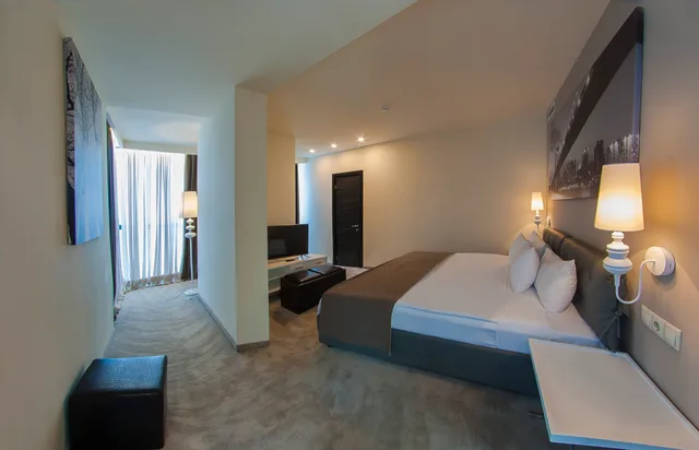 جناح تنفيذي مفرد، Opera Suite Hotel 1/1