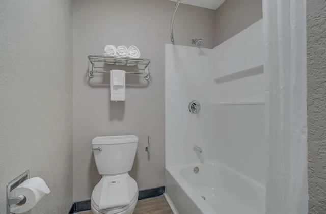 1 King Bed Premium, Micfridge، Motel6 Venice, FL 5/7