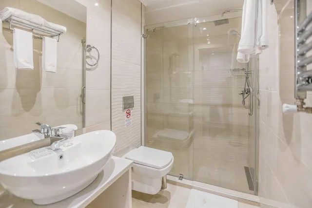 غرفة قياسية بسرير مزدوج، Gold Tbilisi Hotel 7/9