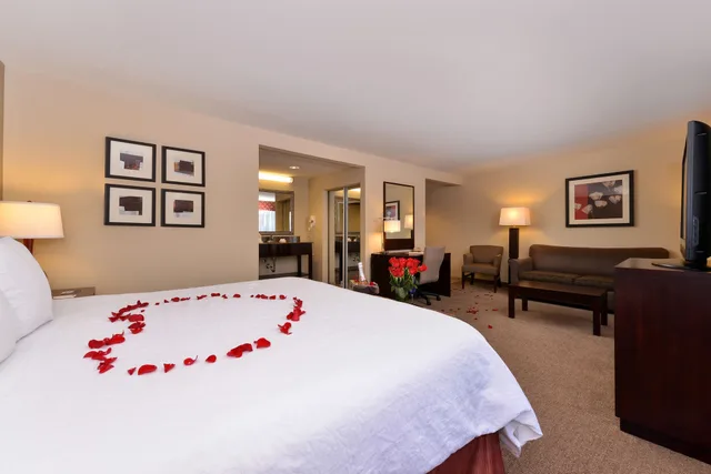 جناح استوديو سيغنتشر بسرير كينج، Hampton Inn & Suites Phoenix/Gilbert 3/10