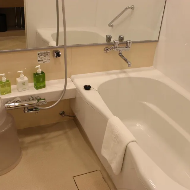 غرفة قياسية بسرير كوين، Hotel Ryumeikan Tokyo 8/9