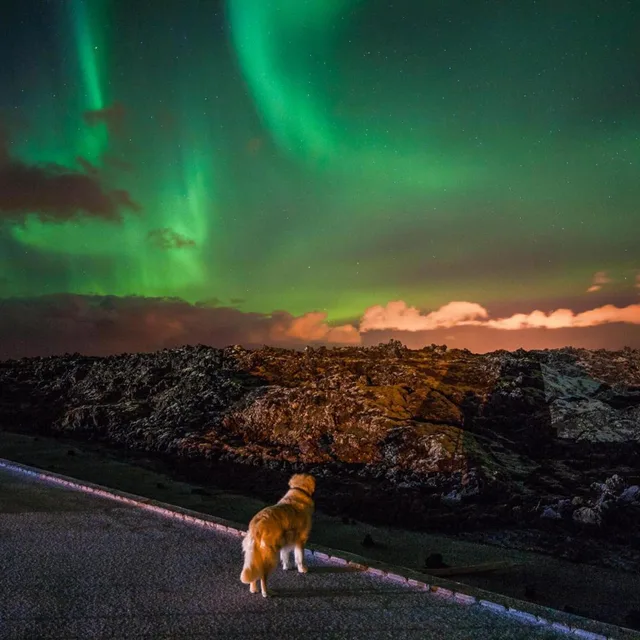 Northern Light Inn، Reykjanesbaer 52/55