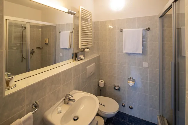 غرفة سوبيريور مفردة، Hotel Campione 4/15