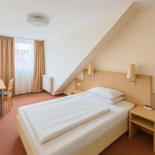 غرفة ديلوكس مفردة، Hotel Petersburg 6/9