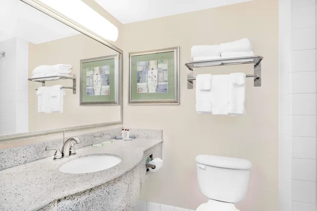 غرفة قياسية بسرير كينج، Wingate By Wyndham Ellicottville 4/4