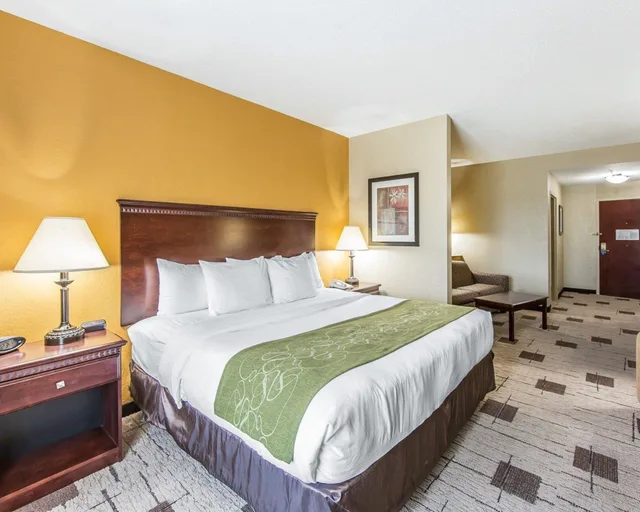 جناح بسرير كينج مع أريكة، Comfort Suites Kodak Sevierville 4/5