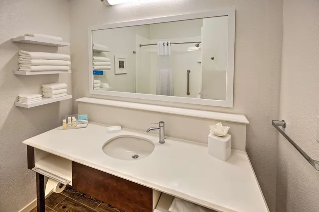 جناح بسريرين كينج مع أريكة، Hampton Inn Savannah I 95 North 3/3