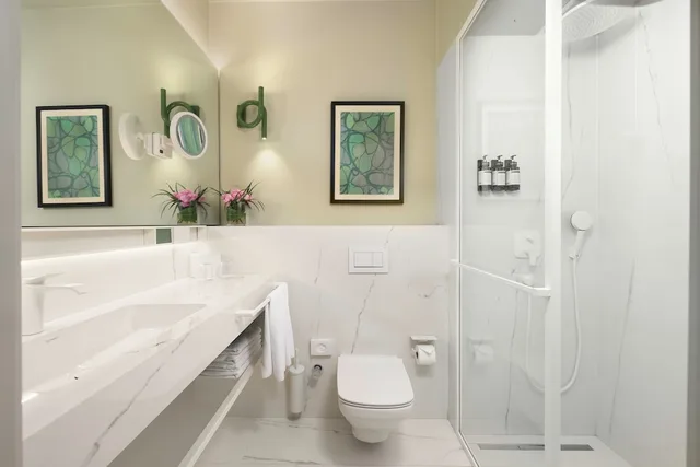 غرفة بريميوم بسرير كينج، The Wings Hotels Pera 9/10