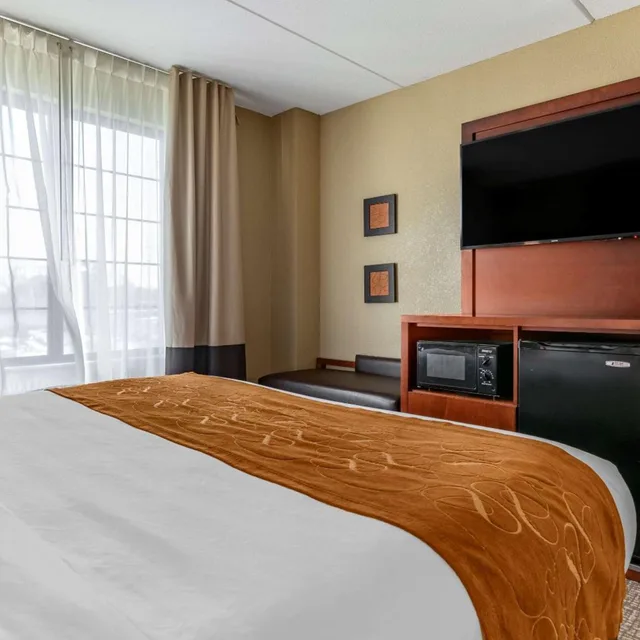 جناح ديلوكس بسرير كينج، Comfort Suites Grand Rapids South 3/5