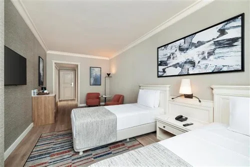 غرفة كلاسيكية بسرير مزدوج أو سريرين منفصلين، Elite World Comfy Istanbul Taksim Hotel 1/2