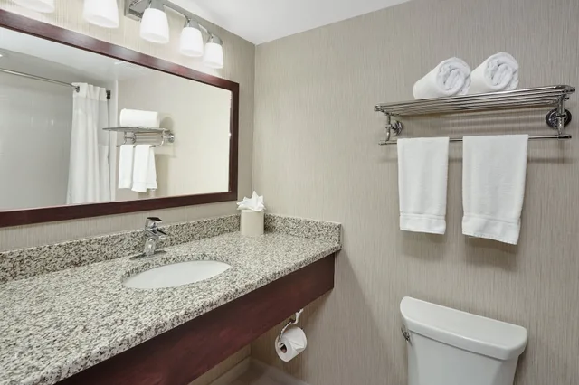 غرفة قياسية بسرير كينج مع أريكة، Holiday Inn Hotel & Suites Chicago-Carol Stream(Wheaton) 2/3