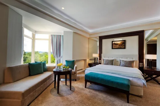 غرفة سوبيريور بسرير مزدوج، Yengice Thermal Resort Hotel 1/1