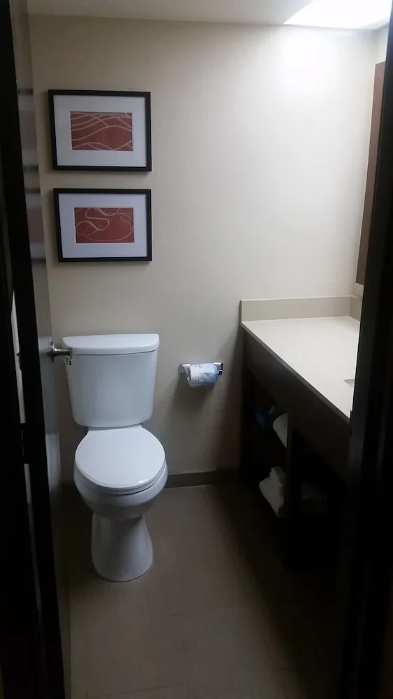 Suite, King Bed, Corner, Comfort Suites Baymeadows Near Butler Blvd 4/6