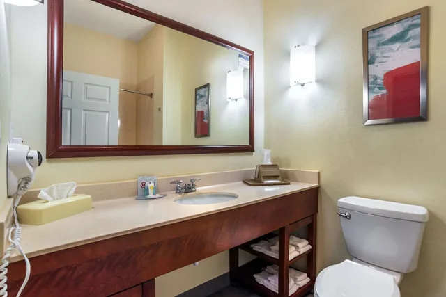 Suite, King Bed, Comfort Inn & Suites Crestview South 5/5