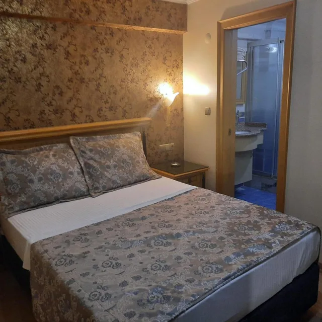 غرفة اقتصادية بسرير مزدوج أو سريرين منفصلين، Grand Hisar Hotel 5/10