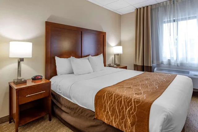 Suite, King Bed, Comfort Inn Syosset-Long Island 1/1