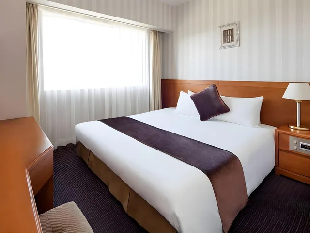 Semi Room, Comfort, King Bed، Hotel Francs 1/1
