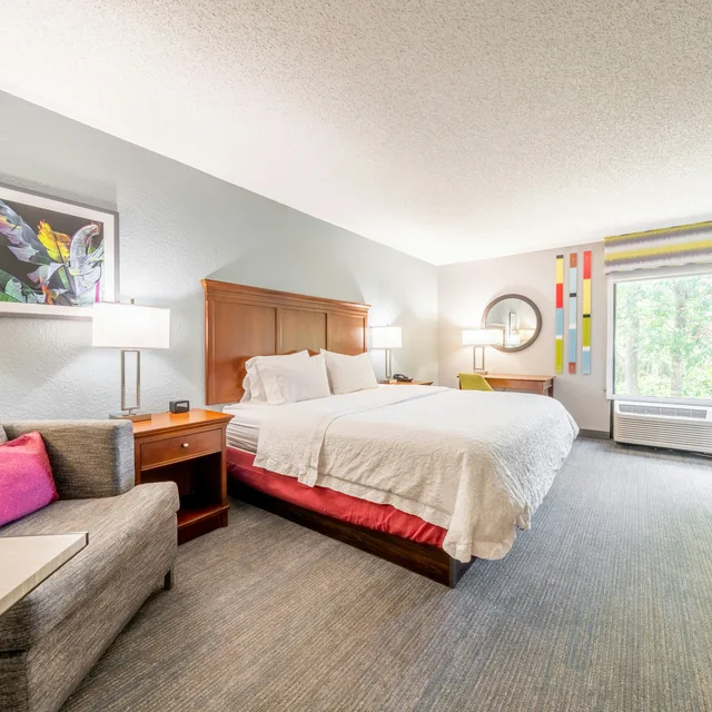 Room, King Bed, Hampton Inn Gainesville FL 1/8
