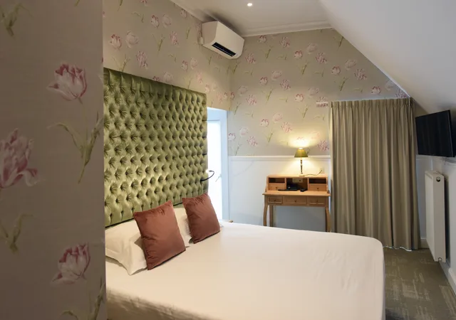 Classic, Double Bed, The Golden Tree Hotel 2/5
