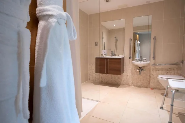 غرفة بسرير مزدوج أو سريرين منفصلين لذوي الإعاقة، Captains Club Hotel & Spa 5/5