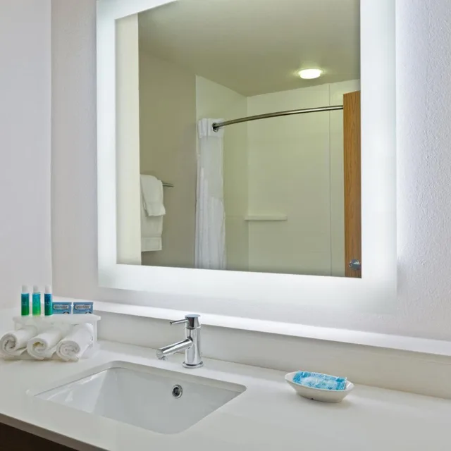 جناح لذوي الإعاقة، Holiday Inn Express & Suites Tavares - Leesburg, an IHG Hotel 5/6