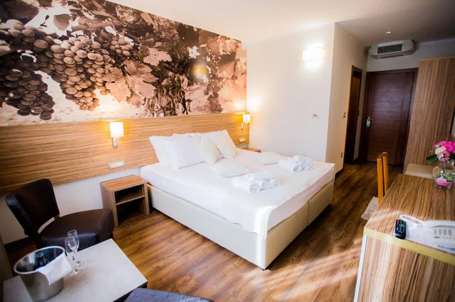 Standard, Double or Twin Bed, City View, Medjugorje Hotel Spa 3/10