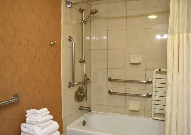 جناح بسرير كينج بغرفة نوم واحدة لذوي الإعاقة، DoubleTree by Hilton Hotel Asheville Biltmore 2/3