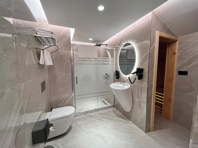 غرفة بزنس بسرير كينج، Gümüs Palas Hotel 3/3