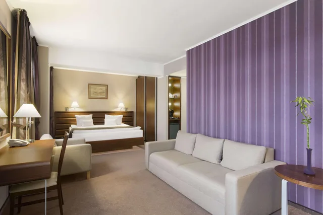 جناح بسرير كينج، Wyndham Cluj 1/1