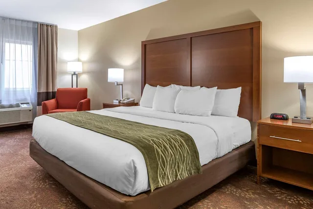 غرفة بسرير كينج، Comfort Inn Okemos - East Lansing 1/3