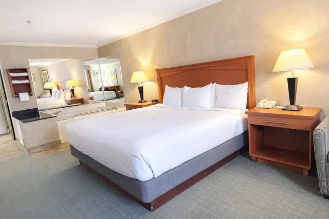 جناح بسرير كينج مع أريكة بحوض جاكوزي، Best Western Davison Inn 6/10