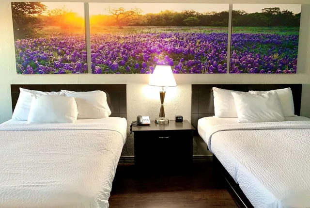 Deluxe, 2 Queen Beds, Days Inn By Wyndham Canton 6/10