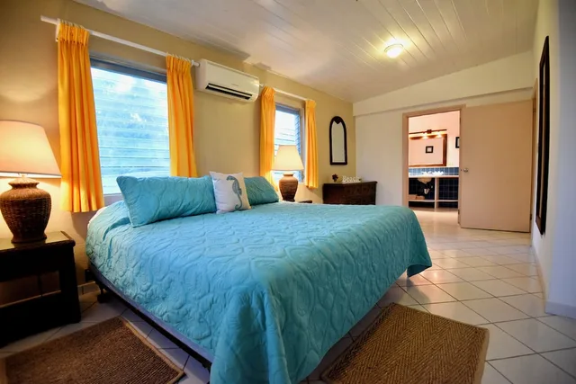 2 Bedrooms, Cottage, 2 King Beds, Ocean View, Patio, Stella Maris Resort Club 1/1