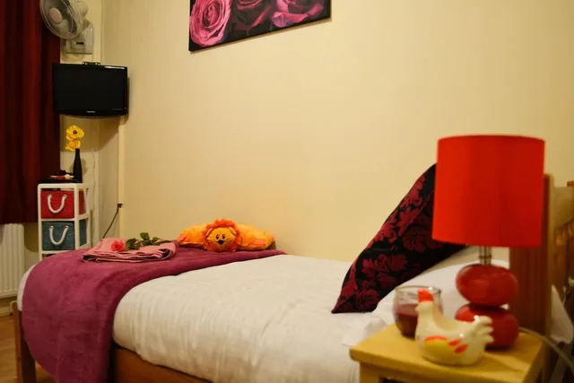 غرفة مفردة بحمام مشترك، City London Hotel 2/9