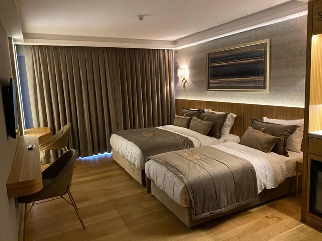 غرفة ديلوكس ثلاثية، Lady Diana Hotel Istanbul 1/10