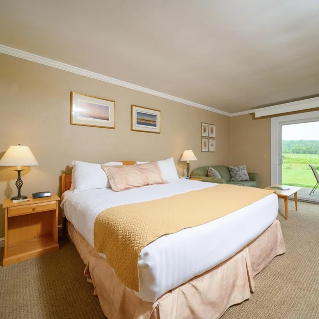 3 Bedrooms, House، Stoweflake Mountain Resort Spa 2/8