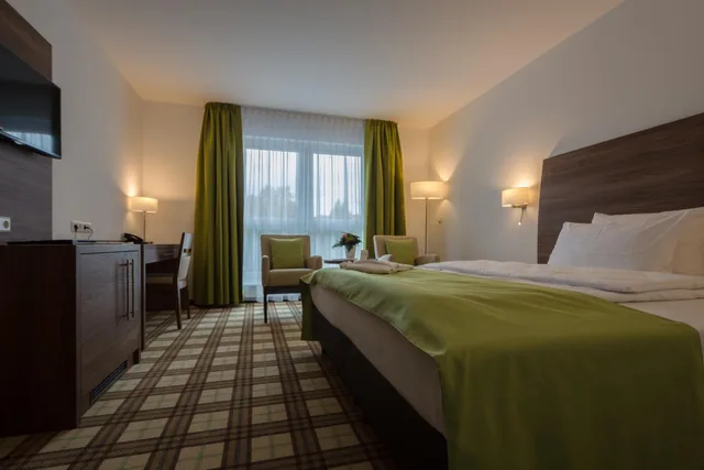 غرفة ديلوكس بسرير كينج، Hotel Fortuna 1/10