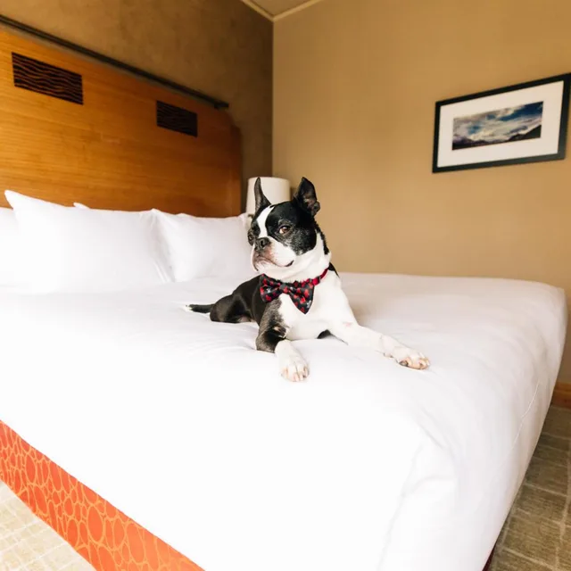 Room, Double Bed, Grand Hyatt Seattle 3/5