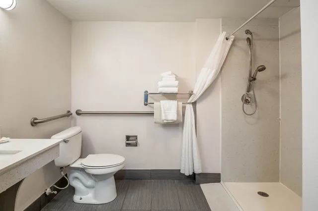 غرفة بسرير كينج لذوي الإعاقة، Comfort Inn Gainesville - University Area 3/3