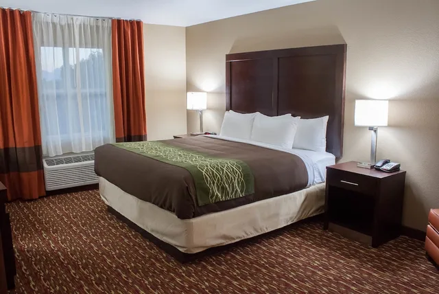 جناح بسرير كينج مع أريكة، Comfort Inn & Suites Artesia, NM 3/7