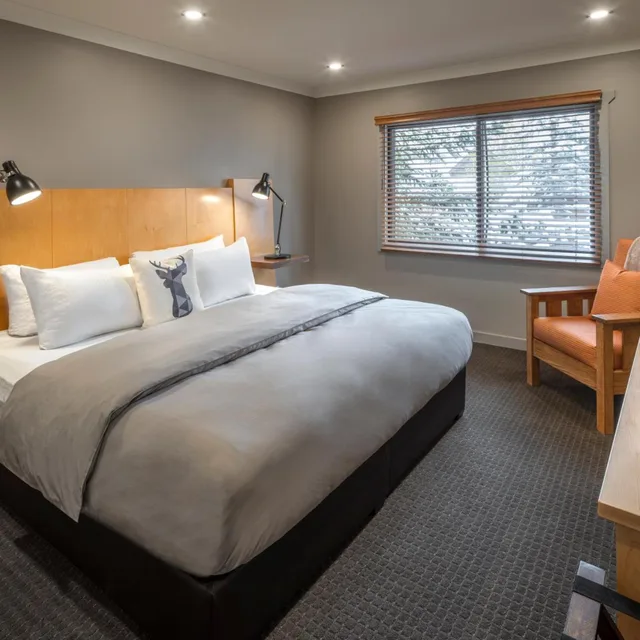 جناح بسرير كينج مع أريكة، Buffalo Mountain Lodge 1/2