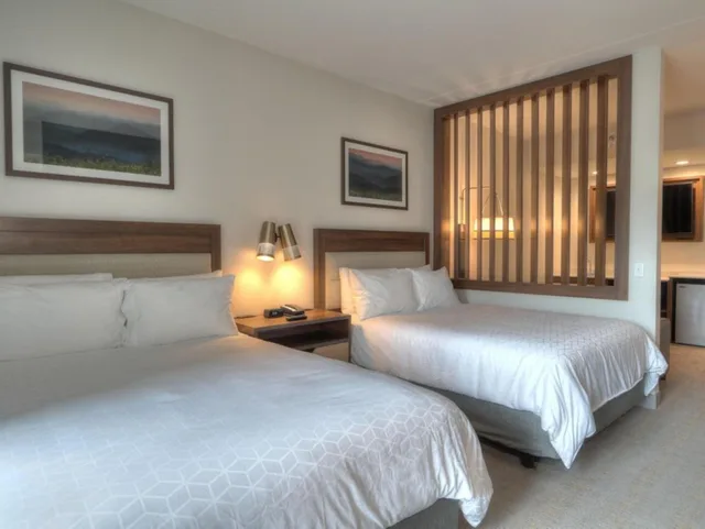 جناح بإطلالة على النهر بغرفة نوم واحدة في الطابق العلوي، Holiday Inn & Suites Pigeon Forge Convention Center (ex Econo Lodge Hotel) 1/9