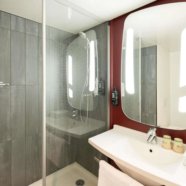 غرفة قياسية بسرير مزدوج مع أريكة، The Bryson Hotel 5/5
