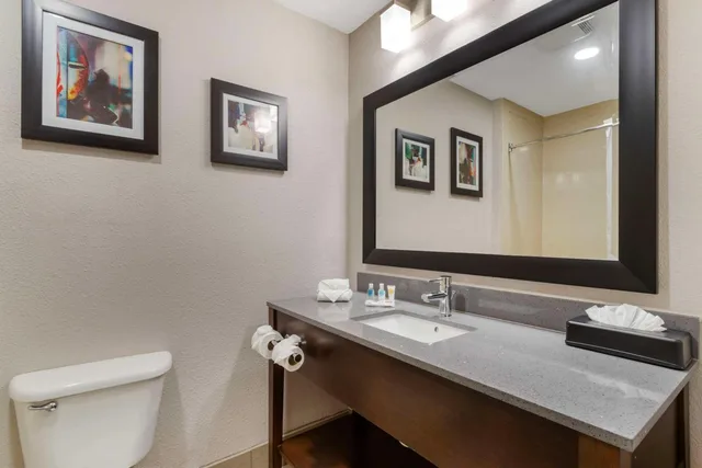 جناح بسرير كينج بغرفة نوم واحدة بحوض جاكوزي، Comfort Suites Shenandoah-The Woodlands 2/4