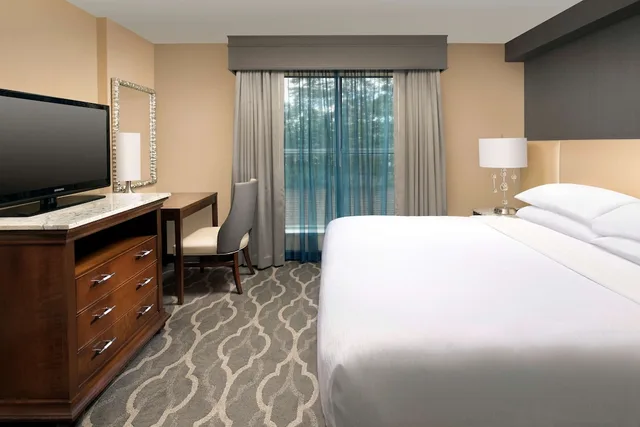 جناح بسرير كينج مع أريكة لذوي الإعاقة، Embassy Suites by Hilton Atlanta Airport 1/2