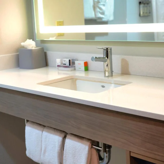 Specialty, Double Bed، Holiday Inn Express Suites Tampa Northwest Oldsmar 2/3